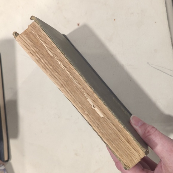 1910 "The Second Chance" By Nellie McClung - Picture 11 of 12